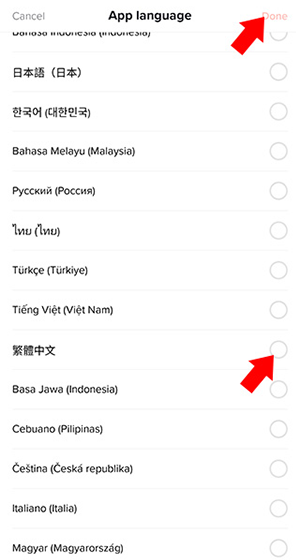 抖音极速版国际版下载