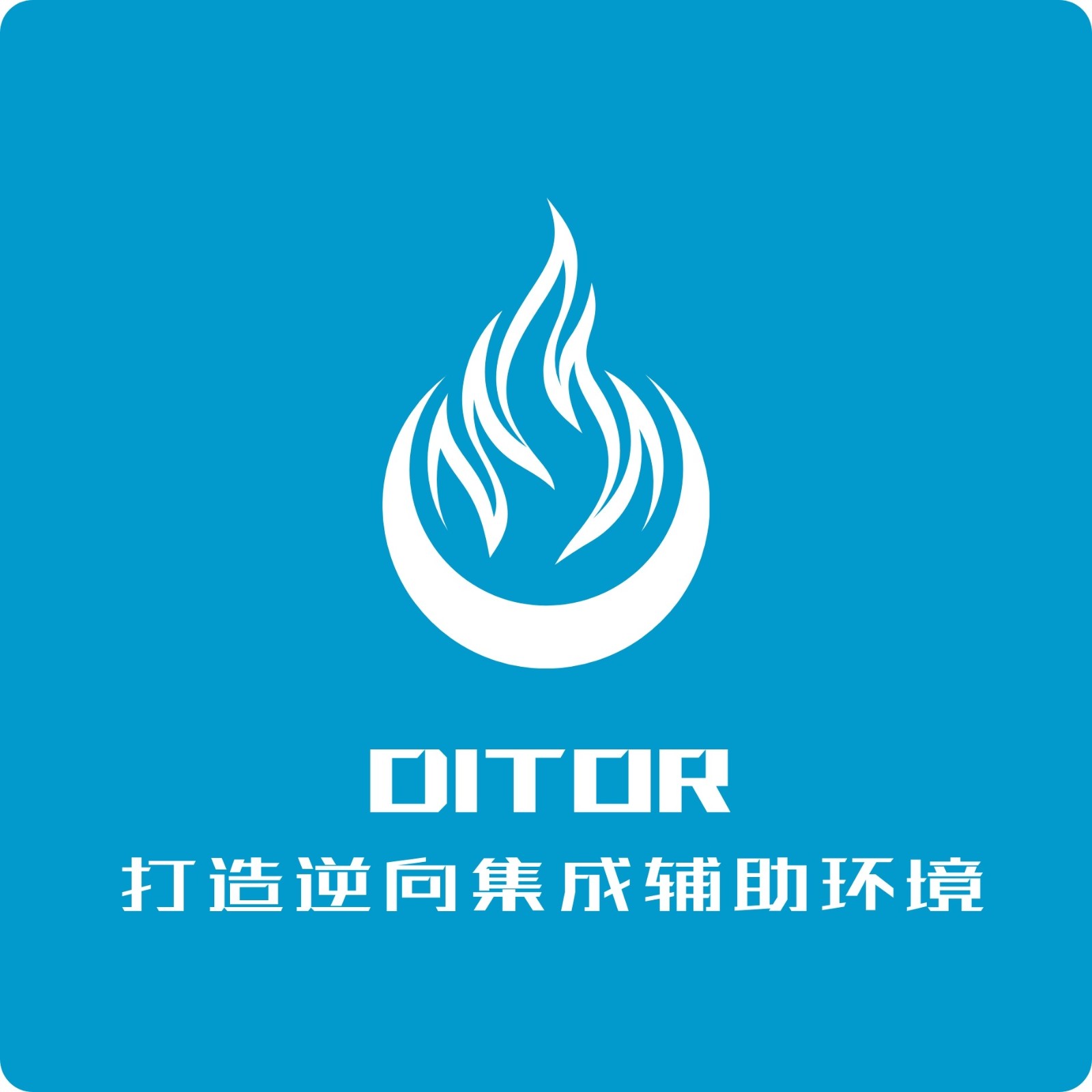 Ditor脱壳3.5官方正版下载最新版