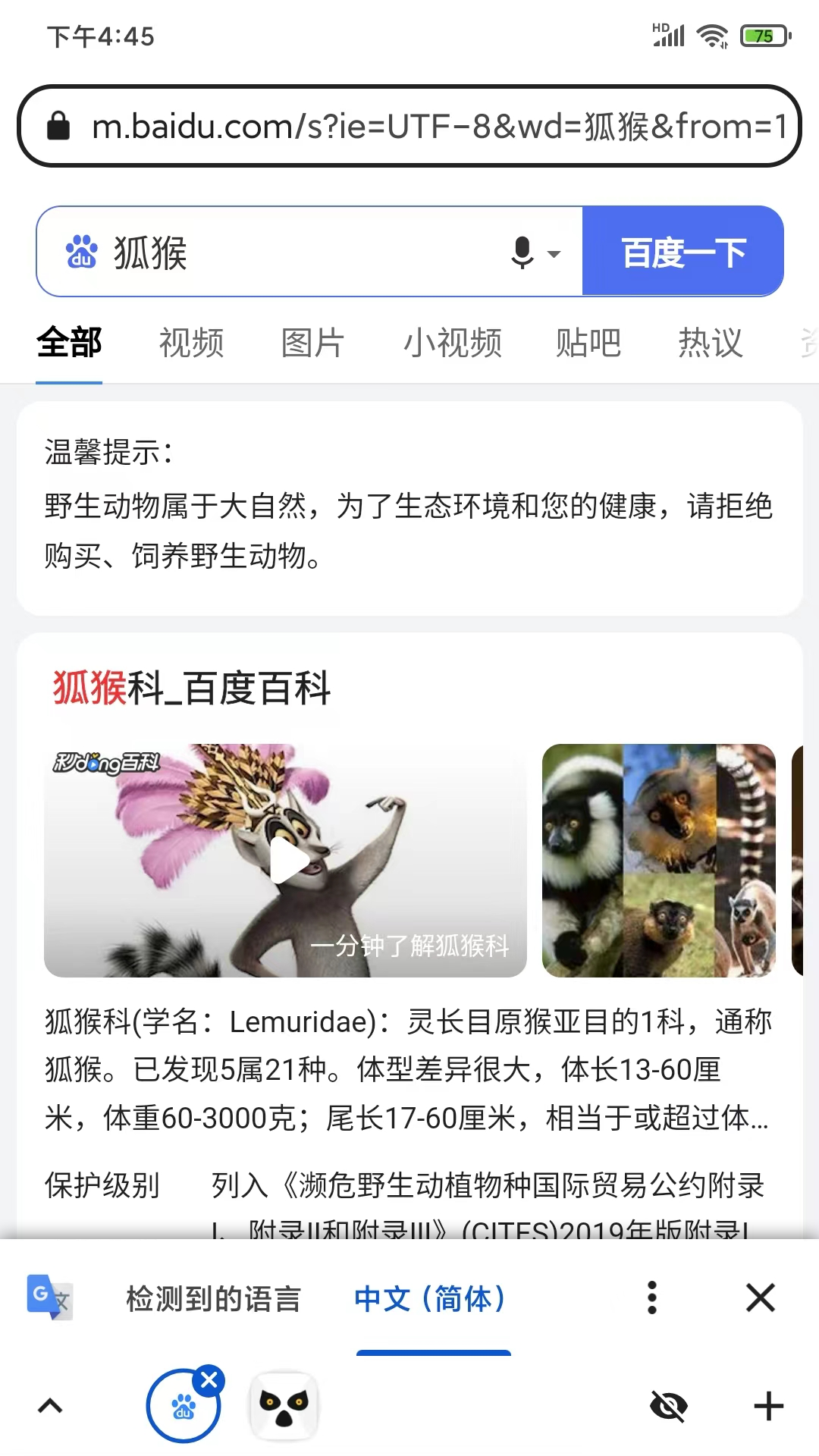 狐猴浏览器安卓版下载安装