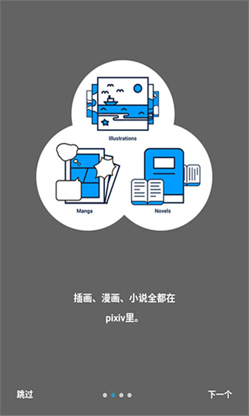 p站免费版正式版下载 