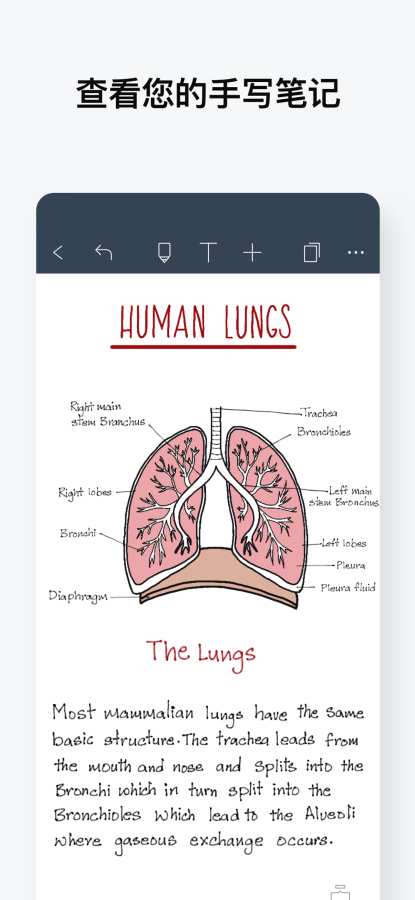 Noteshelf（手写笔记）手机版下载 